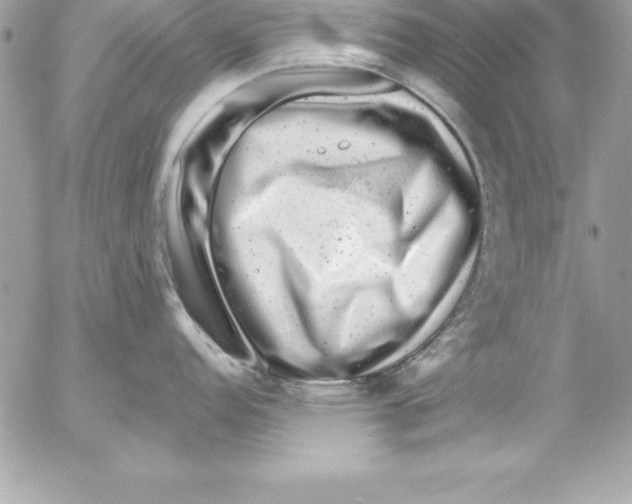 X0000054401152200508262224