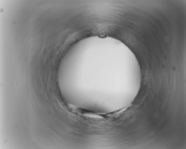 X0000054401153200508262224