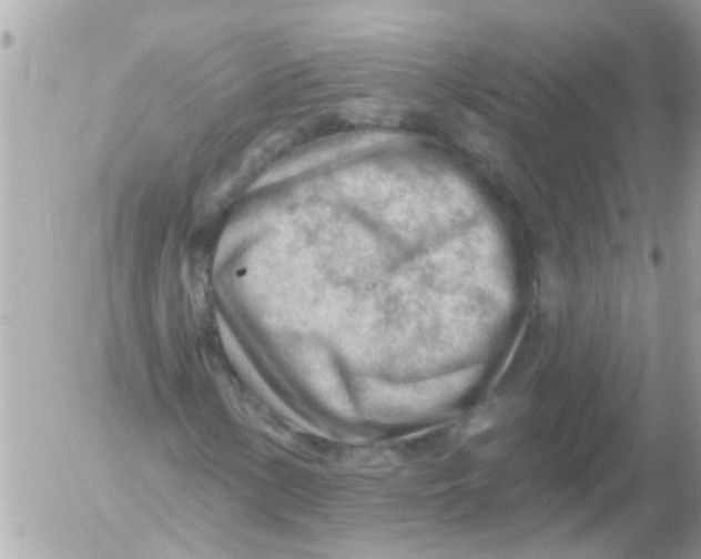 X0000054401154200508262224