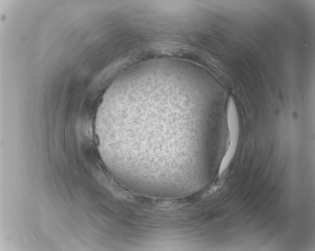 X0000054401155200508262224