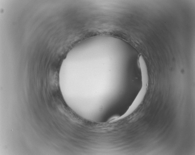 X0000054401156200508262224