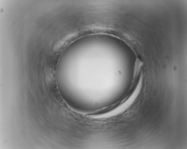 X0000054401157200508262224