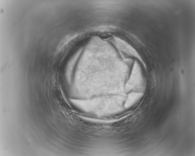 X0000054401158200508262224