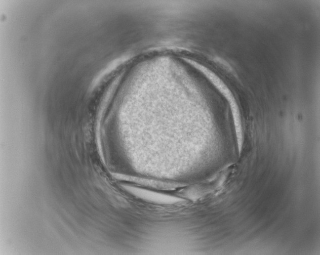 X0000054401159200508262224