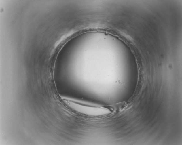 X0000054401160200508262224