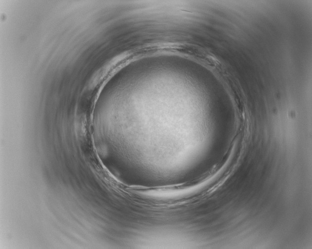 X0000054401161200508262224