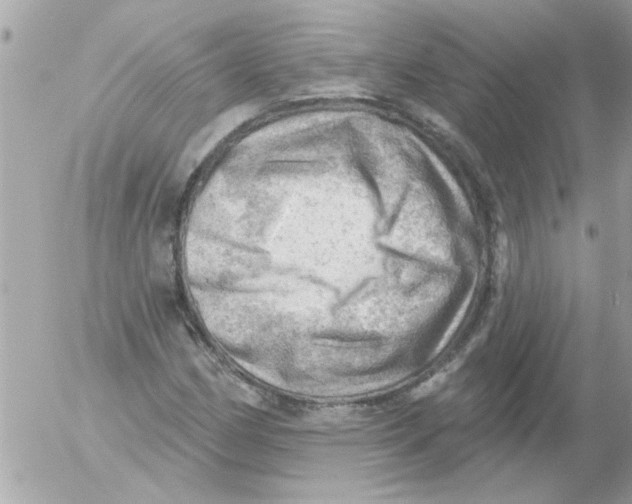 X0000054401162200508262224