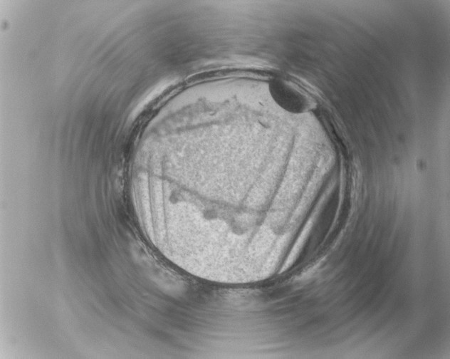 X0000054401163200508262224