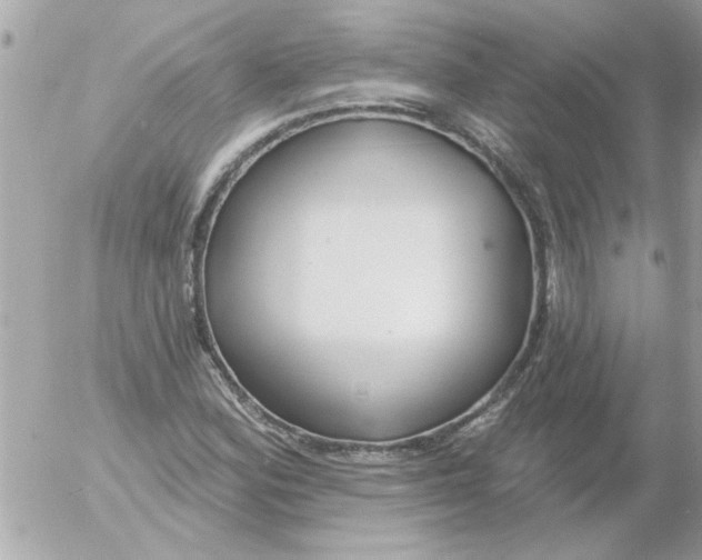 X0000054401164200508262223