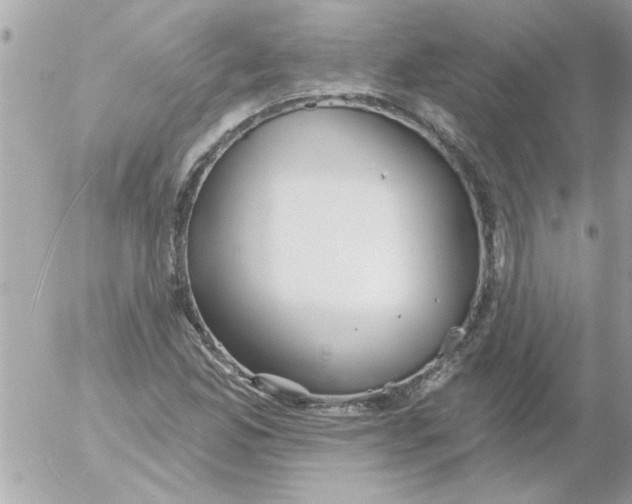 X0000054401165200508262223