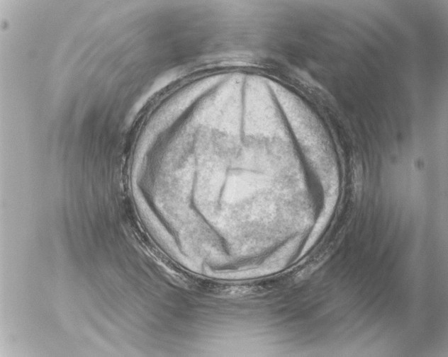 X0000054401166200508262223