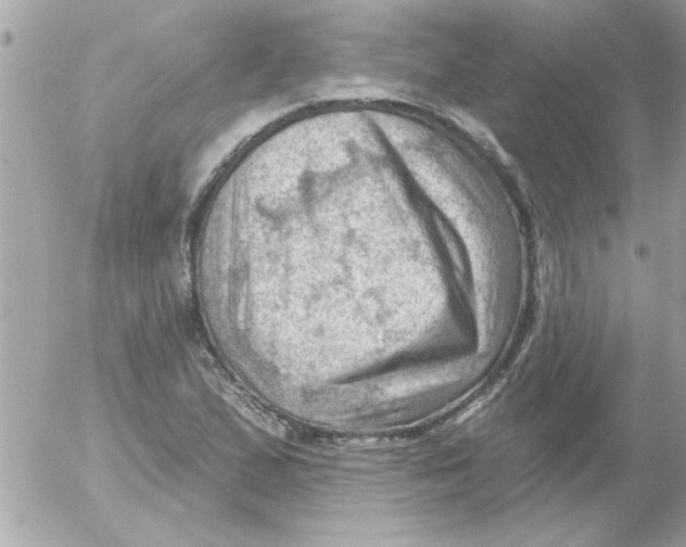 X0000054401167200508262223