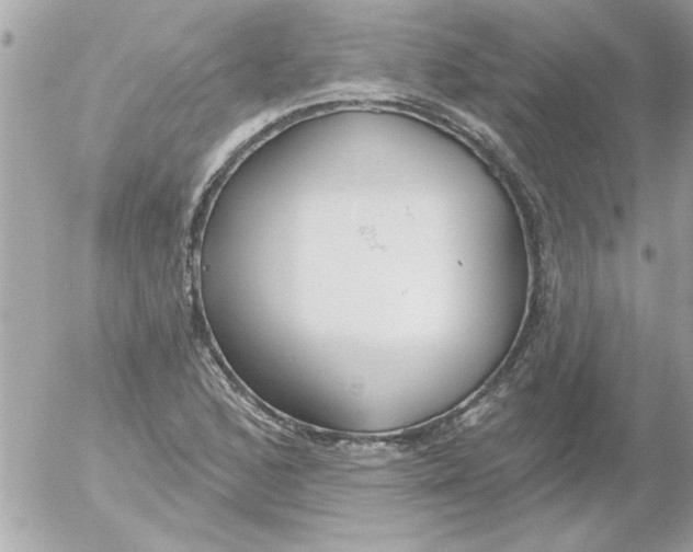 X0000054401168200508262223