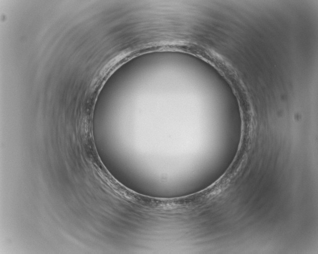 X0000054401169200508262223