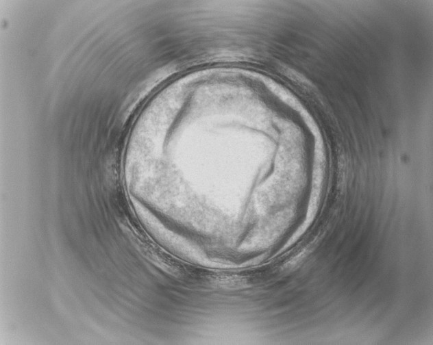 X0000054401170200508262223