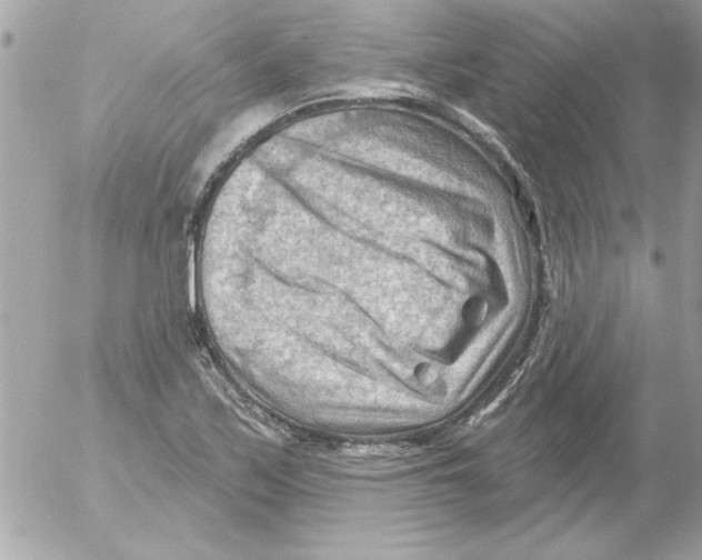 X0000054401171200508262223