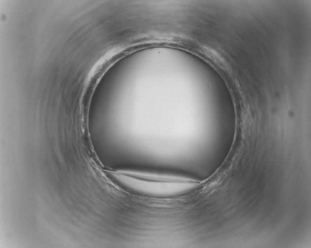 X0000054401172200508262223