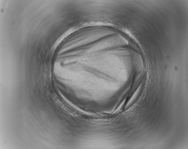 X0000054401173200508262223