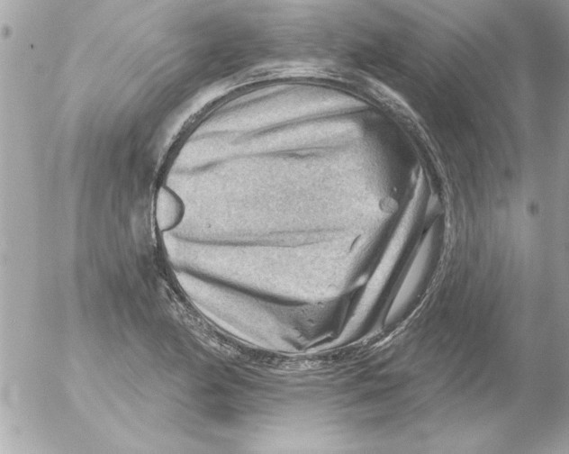 X0000054401174200508262223