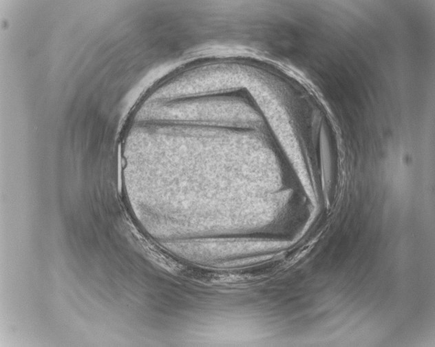 X0000054401175200508262223