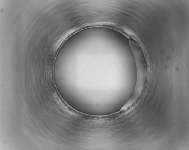 X0000054401177200508262223