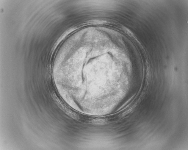 X0000054401178200508262223