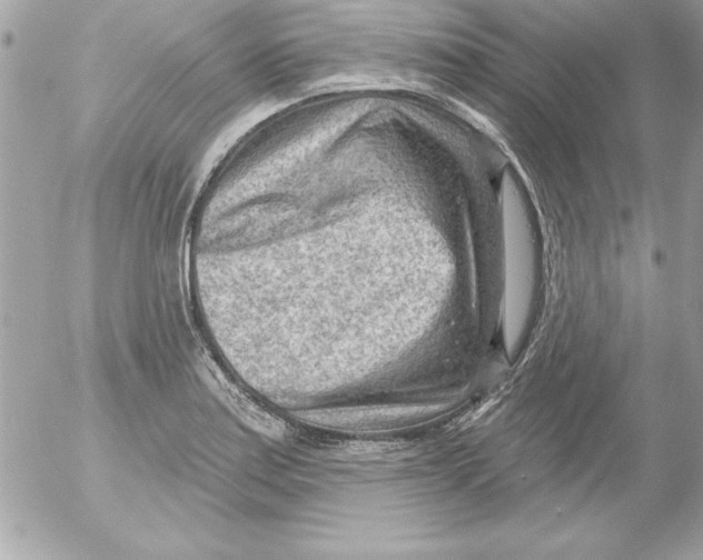 X0000054401179200508262223