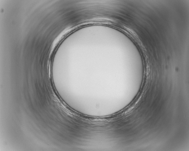 X0000054401180200508262223