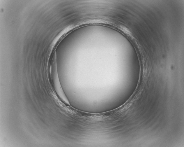 X0000054401181200508262223