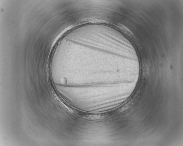 X0000054401182200508262223