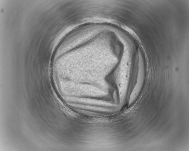 X0000054401183200508262223