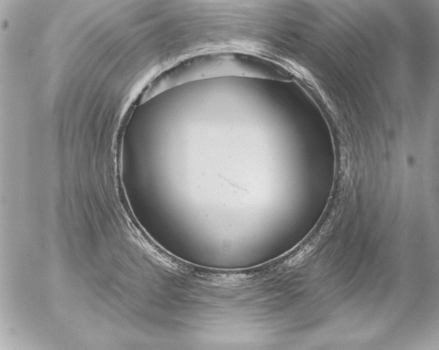 X0000054401184200508262223