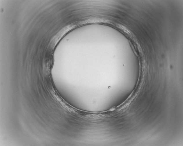 X0000054401185200508262223