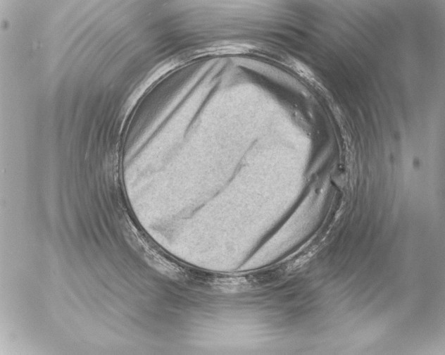 X0000054401186200508262223