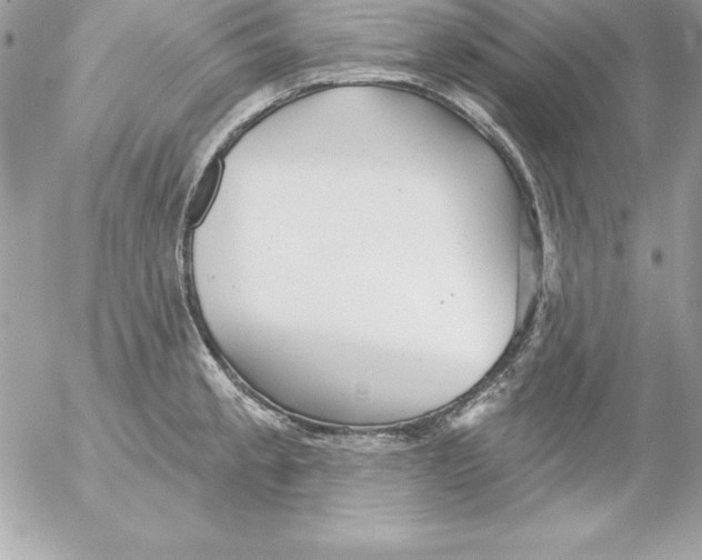 X0000054401189200508262223