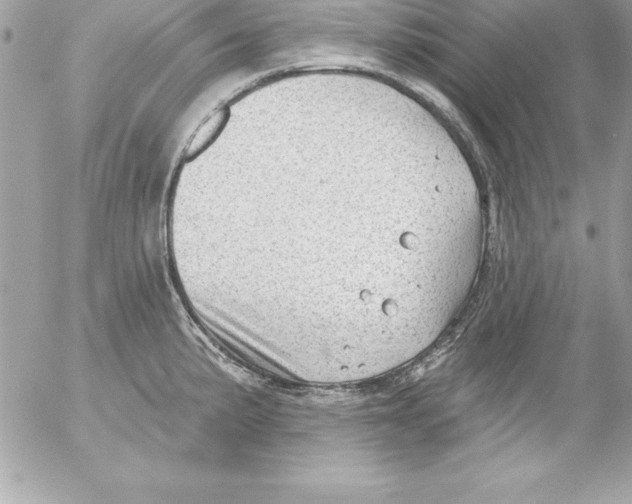 X0000054401191200508262223