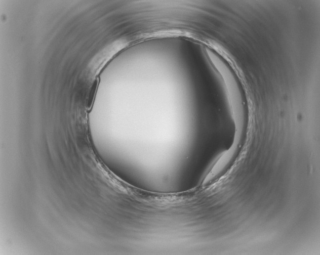 X0000054401193200508262223