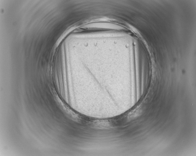 X0000054401194200508262223