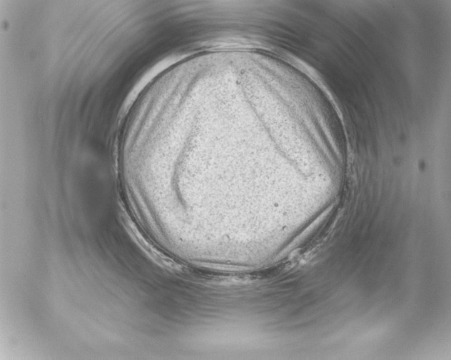 X0000054401195200508262223