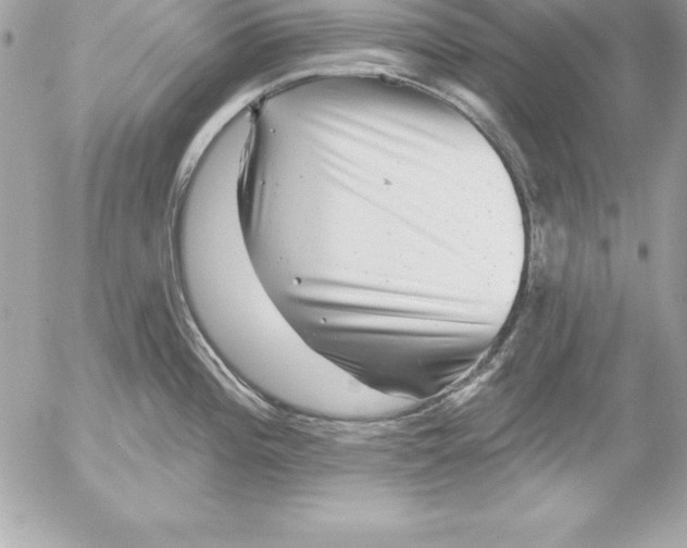 X0000054401196200508262223