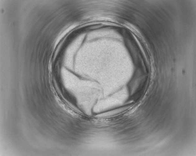 X0000054401198200508262223