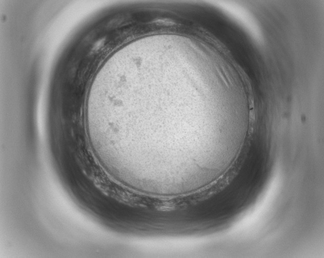 X0000054401199200508262223