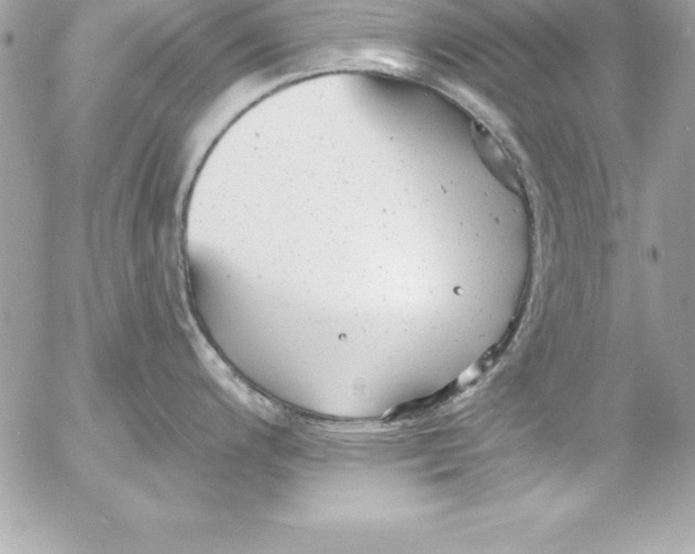 X0000054401200200508262223