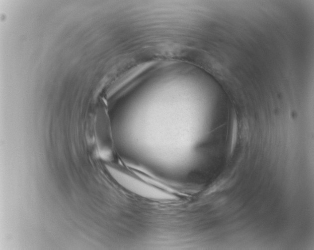 X0000054401202200508262222