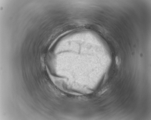 X0000054401203200508262222