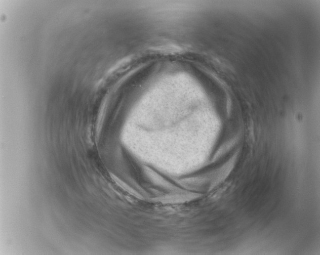 X0000054401205200508262222