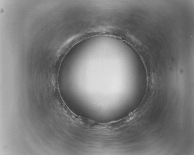 X0000054401206200508262222