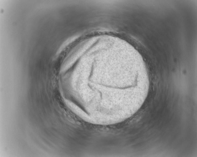 X0000054401207200508262222