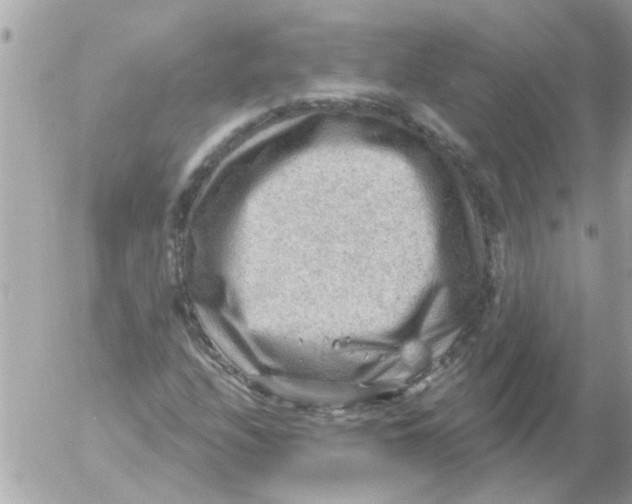 X0000054401208200508262222