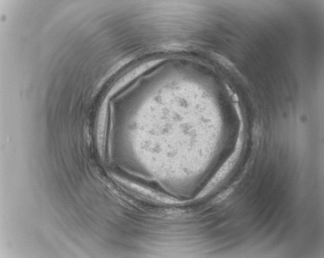 X0000054401209200508262222